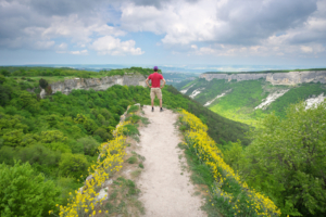Conseil en développement commercial à Salon-de-Provence